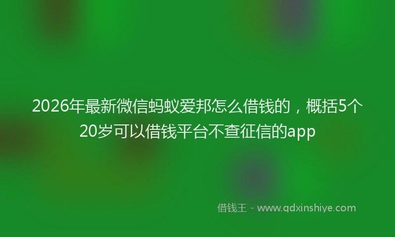 2026年最新微信蚂蚁爱邦怎么借钱的，概括5个20岁可以借钱平台不查征信的app