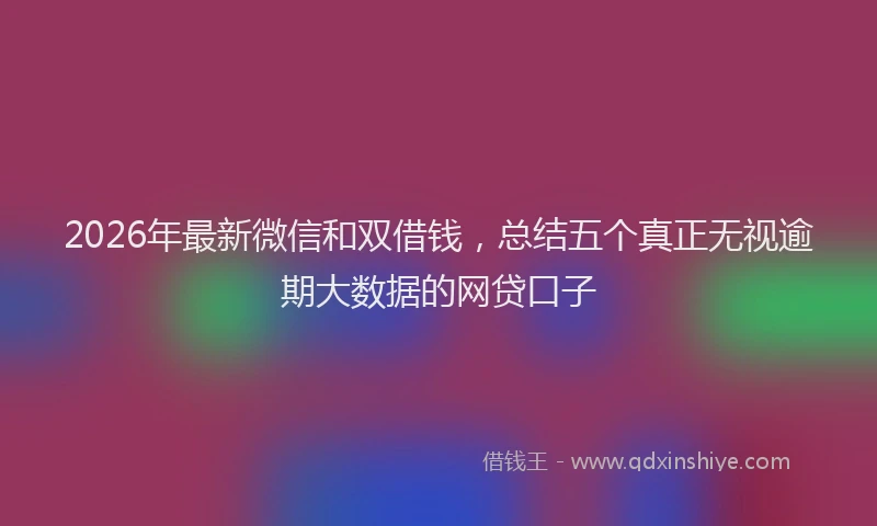 2026年最新微信和双借钱，总结五个真正无视逾期大数据的网贷口子