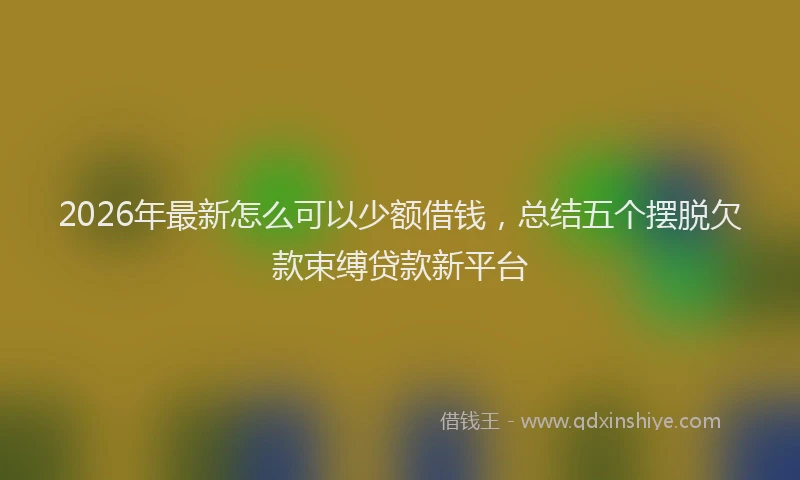 2026年最新怎么可以少额借钱，总结五个摆脱欠款束缚贷款新平台