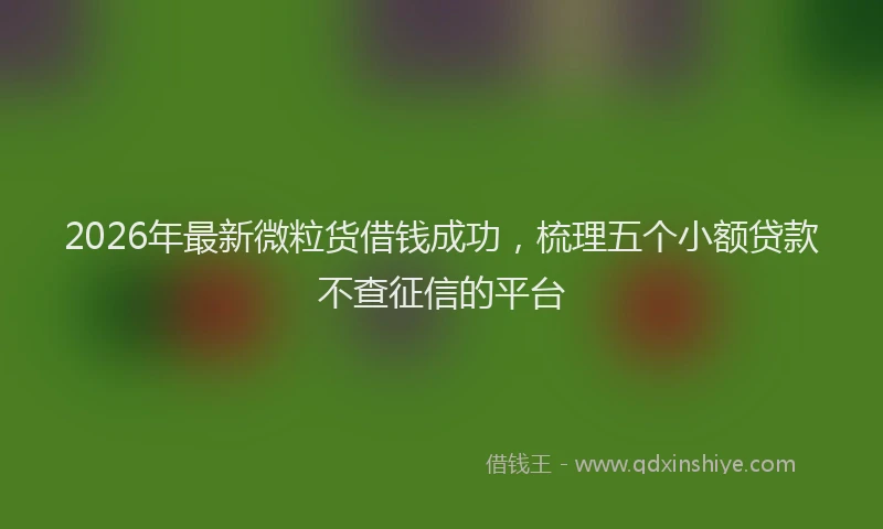 2026年最新微粒货借钱成功，梳理五个小额贷款不查征信的平台