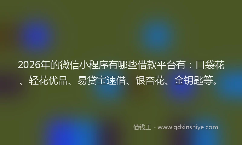 2026年的微信小程序有哪些借款平台有：口袋花、轻花优品、易贷宝速借、银杏花、金钥匙等。