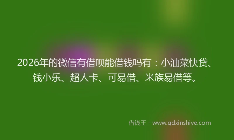 2026年的微信有借呗能借钱吗有：小油菜快贷、钱小乐、超人卡、可易借、米族易借等。