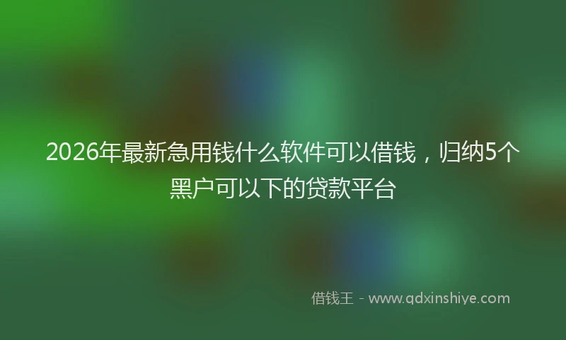 2026年最新急用钱什么软件可以借钱，归纳5个黑户可以下的贷款平台
