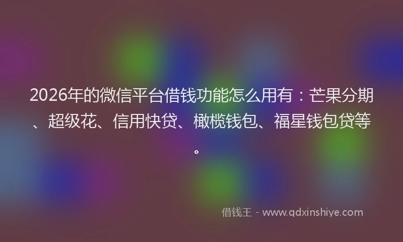 2026年的微信平台借钱功能怎么用有：芒果分期、超级花、信用快贷、橄榄钱包、福星钱包贷等。
