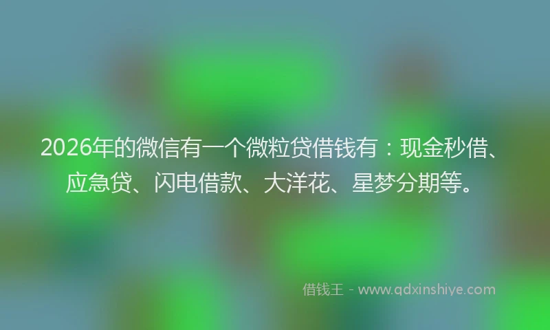 2026年的微信有一个微粒贷借钱有：现金秒借、应急贷、闪电借款、大洋花、星梦分期等。