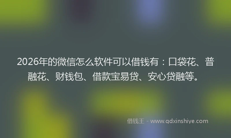 2026年的微信怎么软件可以借钱有：口袋花、普融花、财钱包、借款宝易贷、安心贷融等。