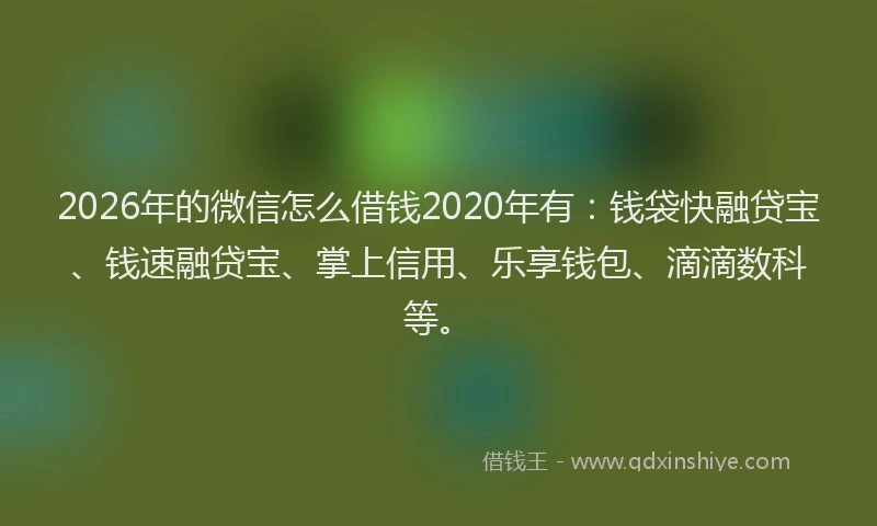 2026年的微信怎么借钱2020年有：钱袋快融贷宝、钱速融贷宝、掌上信用、乐享钱包、滴滴数科等。