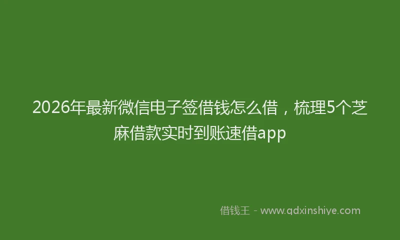 2026年最新微信电子签借钱怎么借，梳理5个芝麻借款实时到账速借app