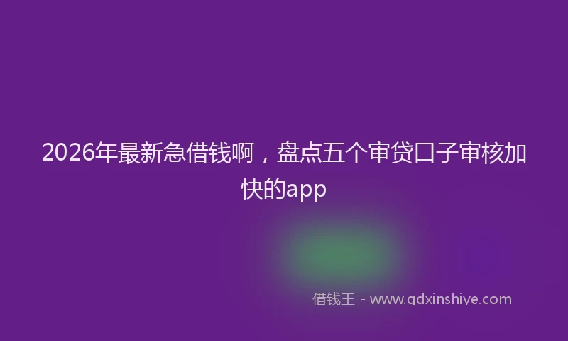 2026年最新急借钱啊，盘点五个审贷口子审核加快的app