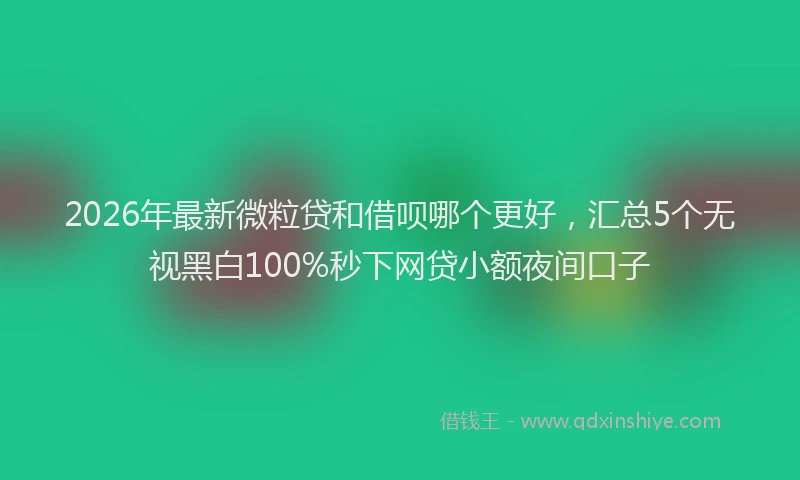 2026年最新微粒贷和借呗哪个更好，汇总5个无视黑白100%秒下网贷小额夜间口子