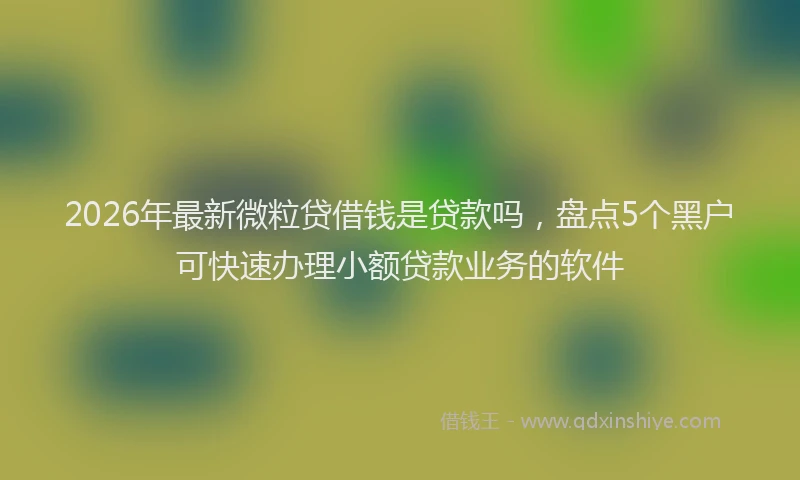 2026年最新微粒贷借钱是贷款吗，盘点5个黑户可快速办理小额贷款业务的软件