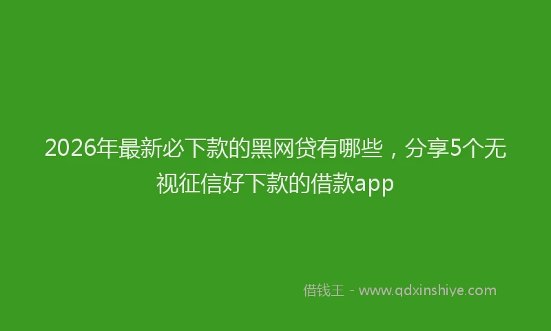 2026年最新必下款的黑网贷有哪些，分享5个无视征信好下款的借款app