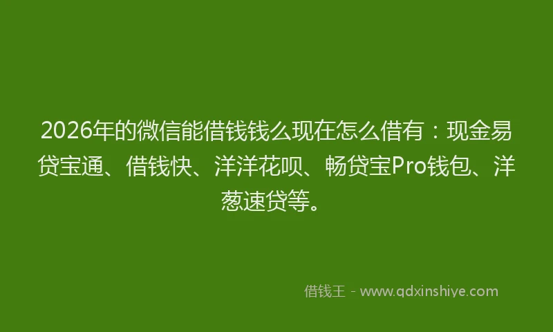 2026年的微信能借钱钱么现在怎么借有：现金易贷宝通、借钱快、洋洋花呗、畅贷宝Pro钱包、洋葱速贷等。