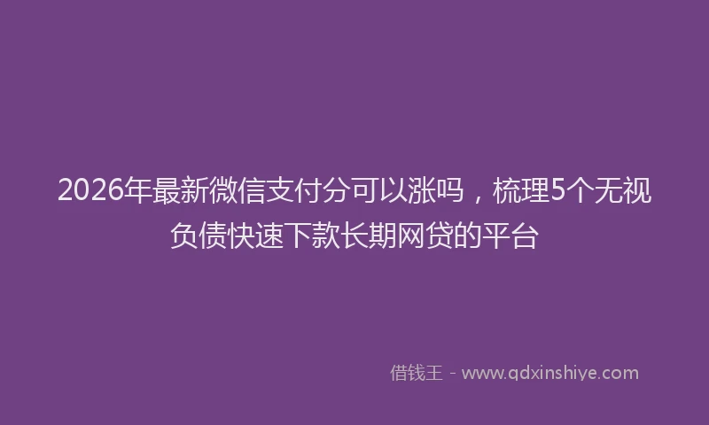 2026年最新微信支付分可以涨吗，梳理5个无视负债快速下款长期网贷的平台