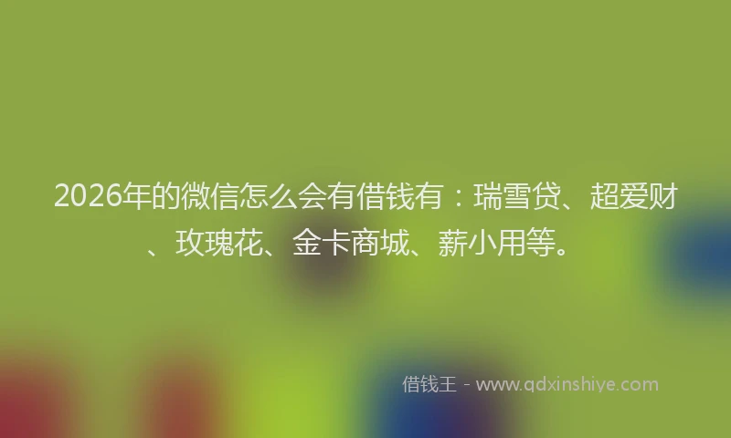 2026年的微信怎么会有借钱有：瑞雪贷、超爱财、玫瑰花、金卡商城、薪小用等。