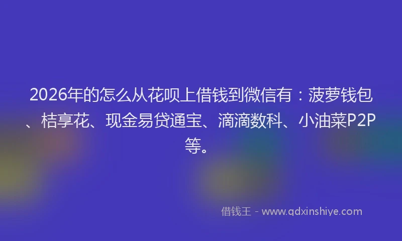 2026年的怎么从花呗上借钱到微信有：菠萝钱包、桔享花、现金易贷通宝、滴滴数科、小油菜P2P等。