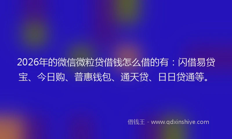 2026年的微信微粒贷借钱怎么借的有：闪借易贷宝、今日购、普惠钱包、通天贷、日日贷通等。