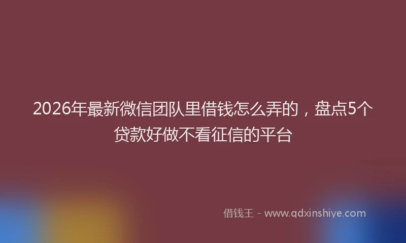 2026年最新微信团队里借钱怎么弄的，盘点5个贷款好做不看征信的平台