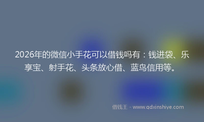 2026年的微信小手花可以借钱吗有：钱进袋、乐享宝、射手花、头条放心借、蓝鸟信用等。