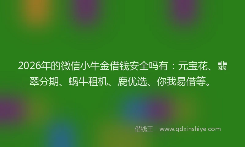 2026年的微信小牛金借钱安全吗有：元宝花、翡翠分期、蜗牛租机、鹿优选、你我易借等。