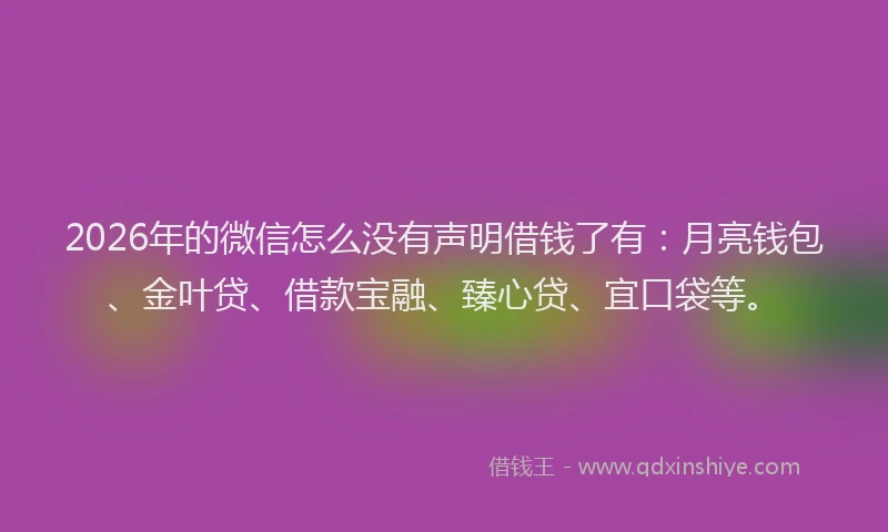 2026年的微信怎么没有声明借钱了有：月亮钱包、金叶贷、借款宝融、臻心贷、宜口袋等。