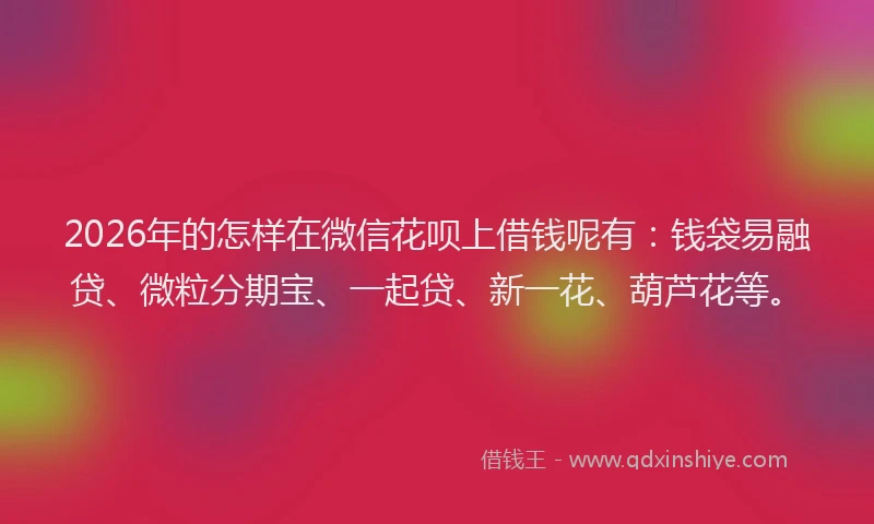 2026年的怎样在微信花呗上借钱呢有：钱袋易融贷、微粒分期宝、一起贷、新一花、葫芦花等。