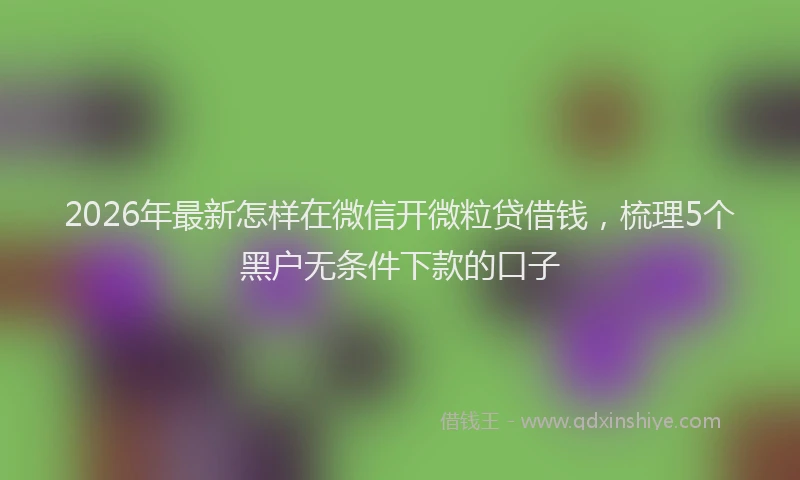 2026年最新怎样在微信开微粒贷借钱，梳理5个黑户无条件下款的口子