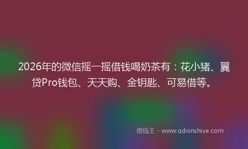 2026年的微信摇一摇借钱喝奶茶有：花小猪、翼贷Pro钱包、天天购、金钥匙、可易借等。