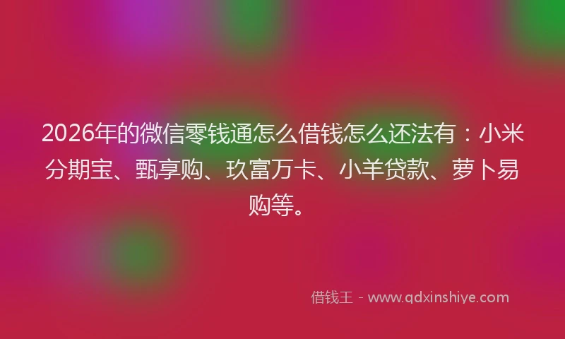 2026年的微信零钱通怎么借钱怎么还法有：小米分期宝、甄享购、玖富万卡、小羊贷款、萝卜易购等。