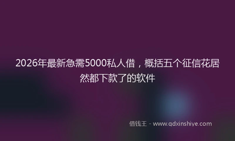 2026年最新急需5000私人借,概括五个征信花居然都下款了的软件