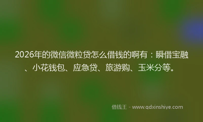 2026年的微信微粒贷怎么借钱的啊有：瞬借宝融、小花钱包、应急贷、旅游购、玉米分等。