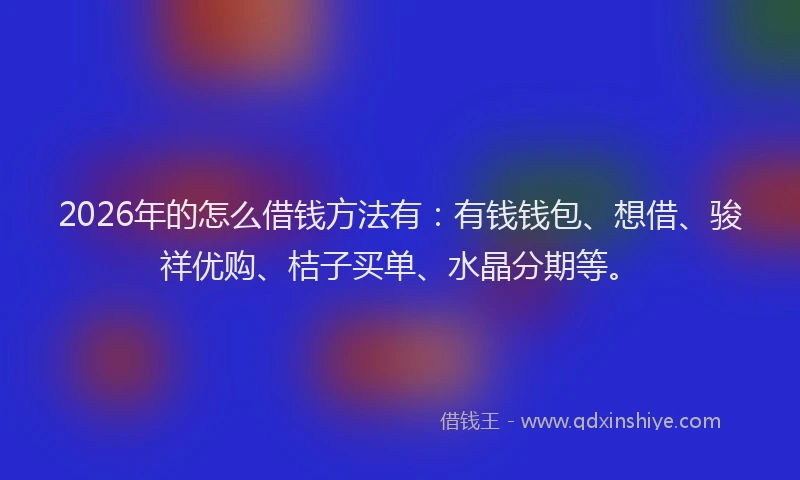 2026年的怎么借钱方法有：有钱钱包、想借、骏祥优购、桔子买单、水晶分期等。