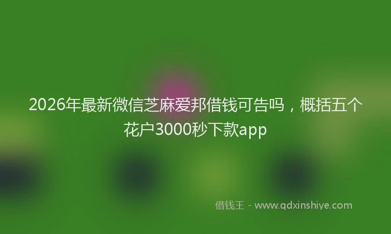 2026年最新微信芝麻爱邦借钱可告吗，概括五个花户3000秒下款app