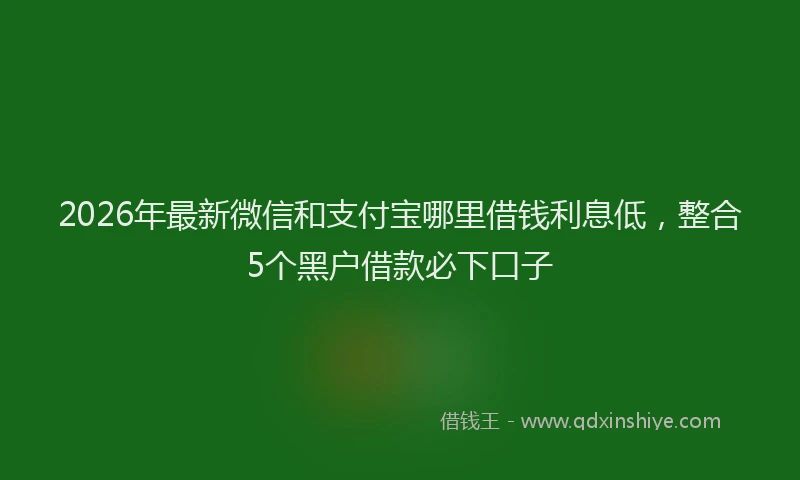 2026年最新微信和支付宝哪里借钱利息低，整合5个黑户借款必下口子