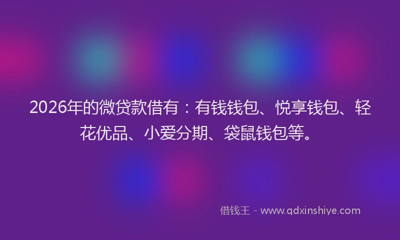 2026年的微贷款借有：有钱钱包、悦享钱包、轻花优品、小爱分期、袋鼠钱包等。