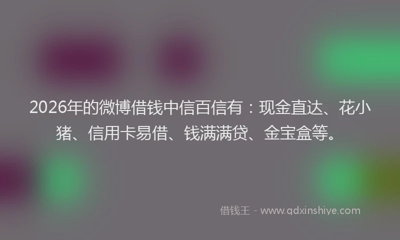 2026年的微博借钱中信百信有：现金直达、花小猪、信用卡易借、钱满满贷、金宝盒等。