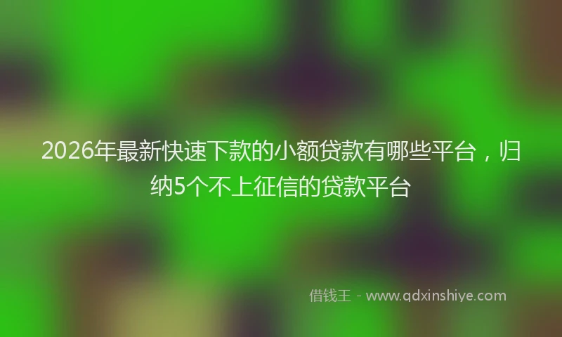 2026年最新快速下款的小额贷款有哪些平台，归纳5个不上征信的贷款平台