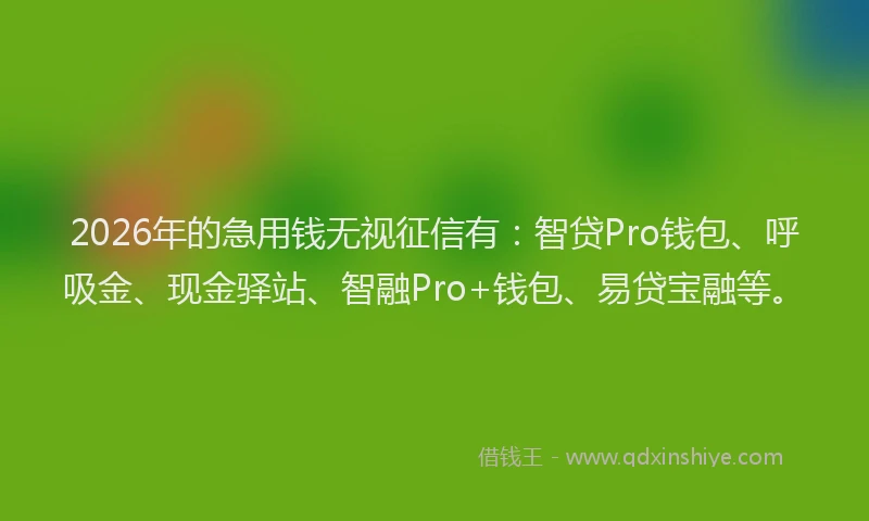 2026年的急用钱无视征信有：智贷Pro钱包、呼吸金、现金驿站、智融Pro+钱包、易贷宝融等。