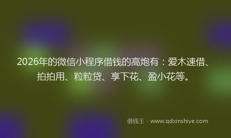 2026年的微信小程序借钱的高炮有：爱木速借、拍拍用、粒粒贷、享下花、盈小花等。