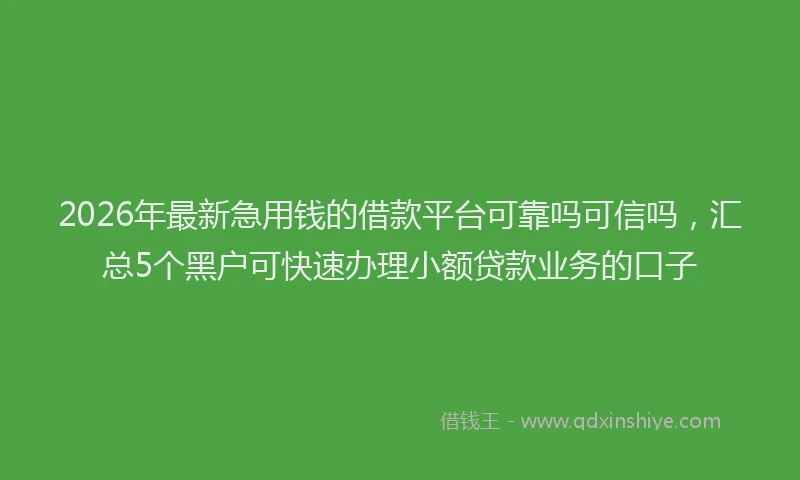 2026年最新急用钱的借款平台可靠吗可信吗，汇总5个黑户可快速办理小额贷款业务的口子