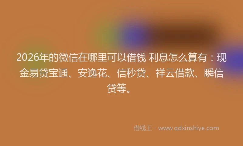 2026年的微信在哪里可以借钱 利息怎么算有：现金易贷宝通、安逸花、信秒贷、祥云借款、瞬信贷等。
