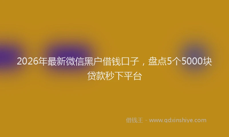2026年最新微信黑户借钱口子，盘点5个5000块贷款秒下平台