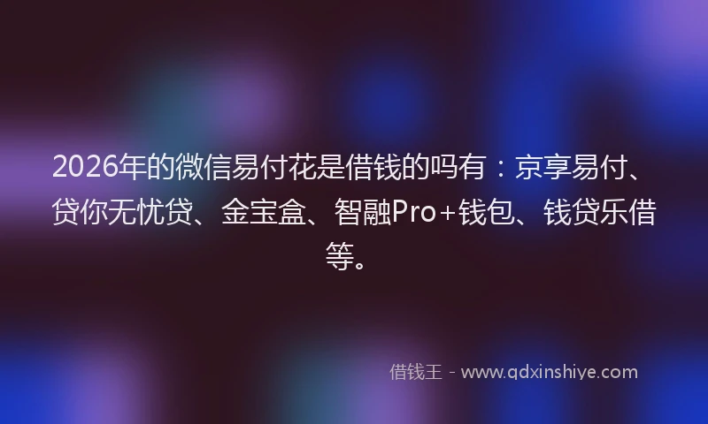 2026年的微信易付花是借钱的吗有：京享易付、贷你无忧贷、金宝盒、智融Pro+钱包、钱贷乐借等。