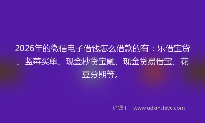 2026年的微信电子借钱怎么借款的有：乐借宝贷、蓝莓买单、现金秒贷宝融、现金贷易借宝、花豆分期等。