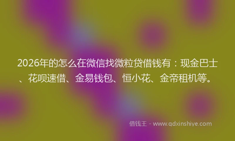 2026年的怎么在微信找微粒贷借钱有：现金巴士、花呗速借、金易钱包、恒小花、金帝租机等。