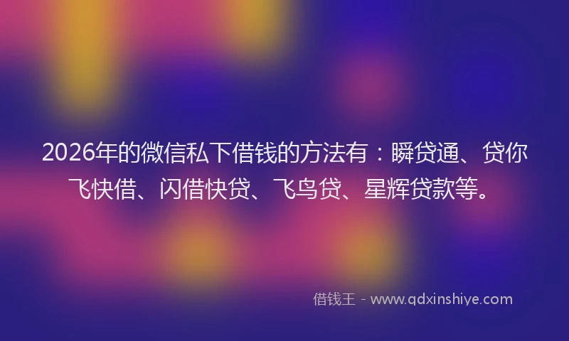 2026年的微信私下借钱的方法有：瞬贷通、贷你飞快借、闪借快贷、飞鸟贷、星辉贷款等。