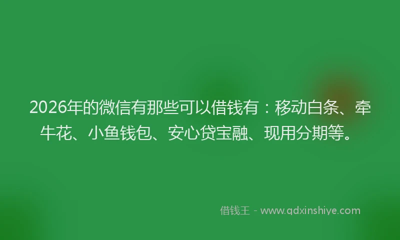 2026年的微信有那些可以借钱有：移动白条、牵牛花、小鱼钱包、安心贷宝融、现用分期等。