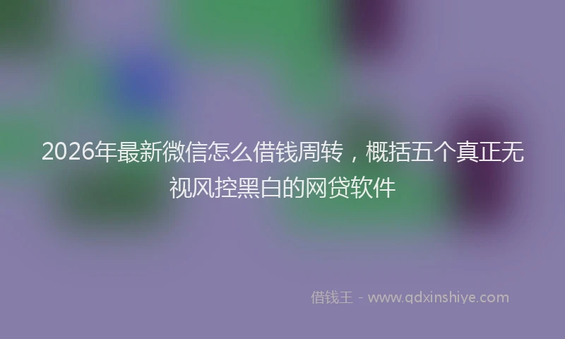 2026年最新微信怎么借钱周转，概括五个真正无视风控黑白的网贷软件