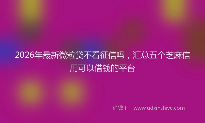 2026年最新微粒贷不看征信吗，汇总五个芝麻信用可以借钱的平台