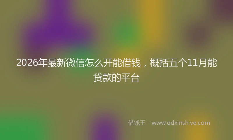 2026年最新微信怎么开能借钱，概括五个11月能贷款的平台